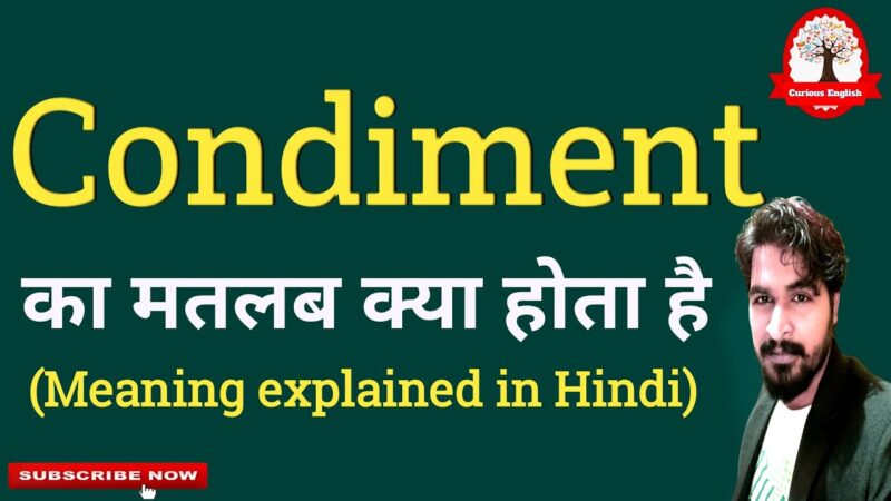 condiments meaning in hindi - Hình 2
