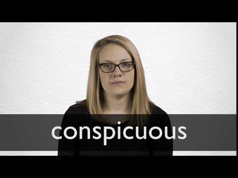conspicuous meaning in hindi 1