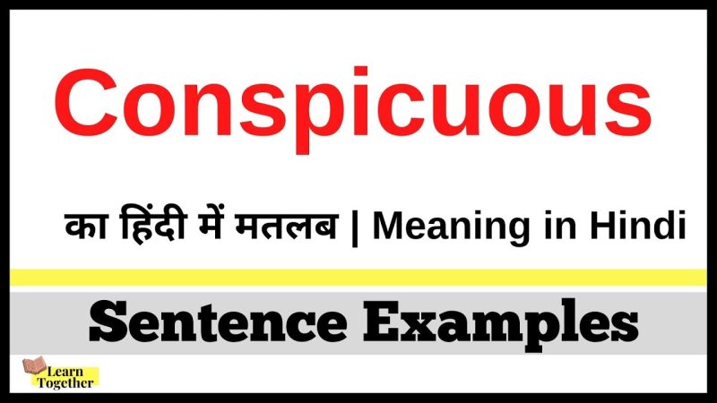 conspicuous meaning in hindi 2
