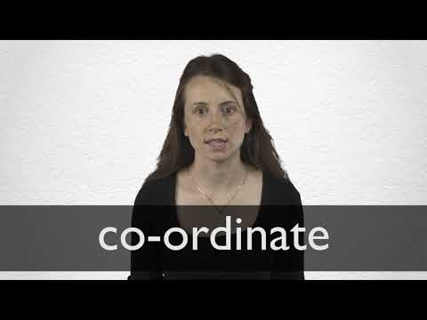 coordinate meaning in hindi 4