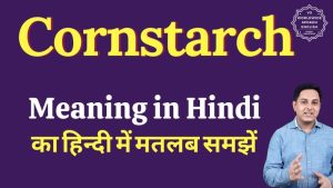 corn starch meaning in hindi