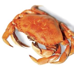 crab meaning in hindi 1