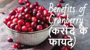 cranberry meaning in hindi