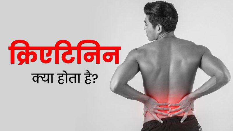 क्रिएटिन शरीर में कैसे काम करता है?