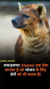 creature meaning in hindi 5