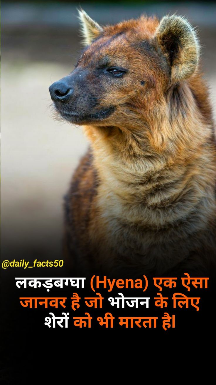 creature meaning in hindi 5