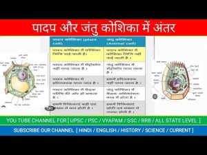 creatures meaning in hindi 4