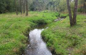creek meaning in hindi - Hình 3