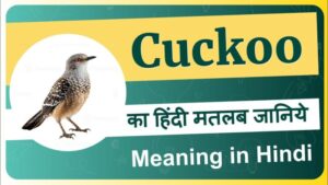 cuckoo meaning in hindi