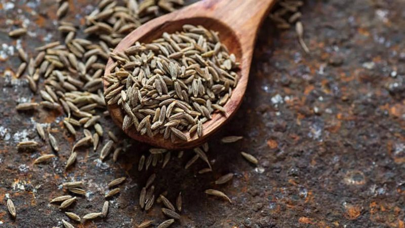 जीरा का हिंदी में अर्थ: व्यापक परिभाषा और उपयोग