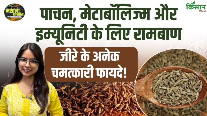 जीरा के विभिन्न हिंदी नामों की जानकारी