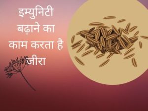 cumin meaning in hindi 3