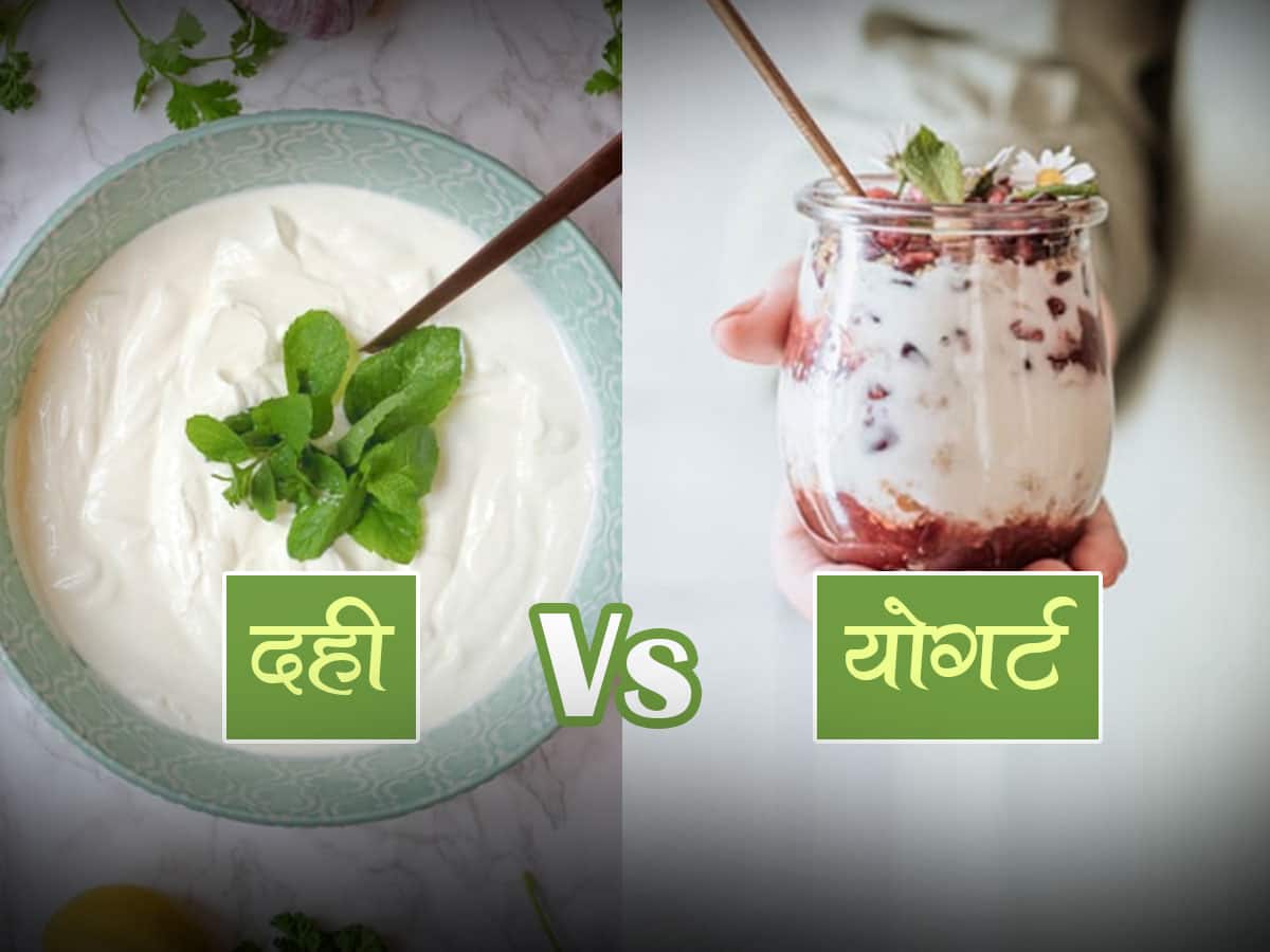 दही और योगर्ट में अंतर: मुख्य अंतर और समानताएं (Dahi aur yogurt mein antar: Mukhya antar aur samantaen)