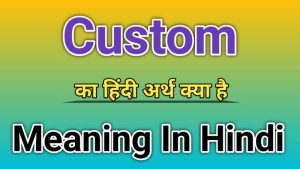 custom meaning in hindi 1