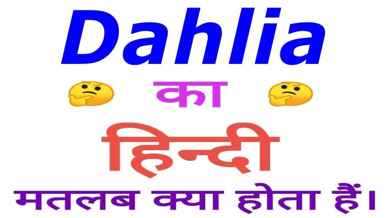 क्या डहलिया का हिंदी में कोई धार्मिक या आध्यात्मिक अर्थ है? (Kya Dahlia ka Hindi Mein Koi Dharmik ya Adhyatmik Arth Hai?)