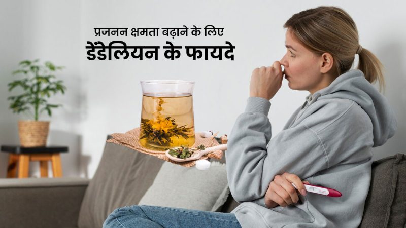 डेंडेलियन के स्वास्थ्य लाभ (हिंदी में): एक प्राकृतिक उपचार। यह खंड डेंडेलियन से जुड़े विभिन्न स्वास्थ्य लाभों और हिंदी भाषी समुदायों में उनके पारंपरिक उपयोगों की व्याख्या करेगा।