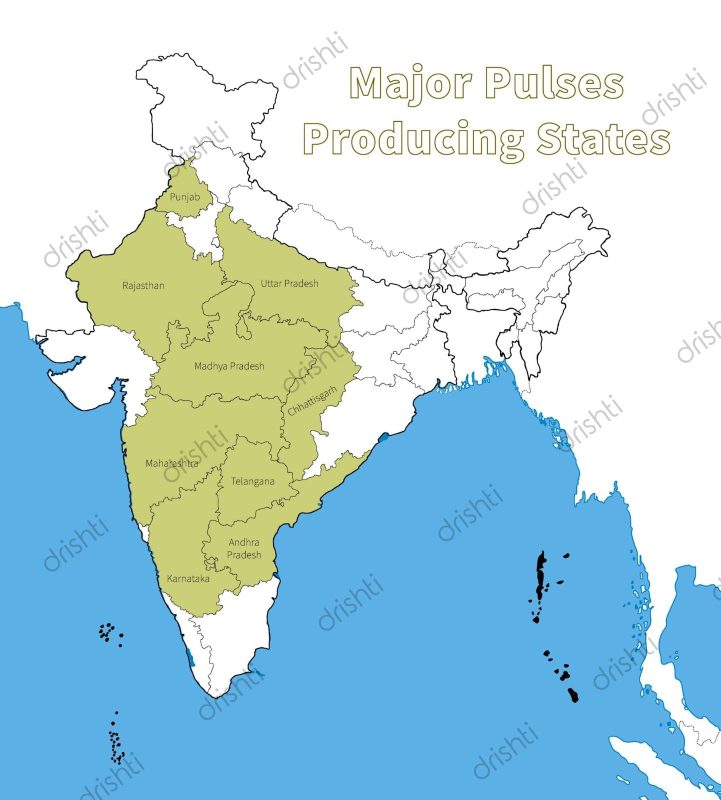 भारत में डेंडेलियन कहां पाएं: उपलब्धता और उपयोग। यह खंड भारत में डेंडेलियन की उपलब्धता और हिंदी भाषी क्षेत्रों में इसके उपयोग पर केंद्रित होगा।