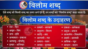 declaration meaning in hindi 4