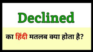 declined meaning in hindi 1