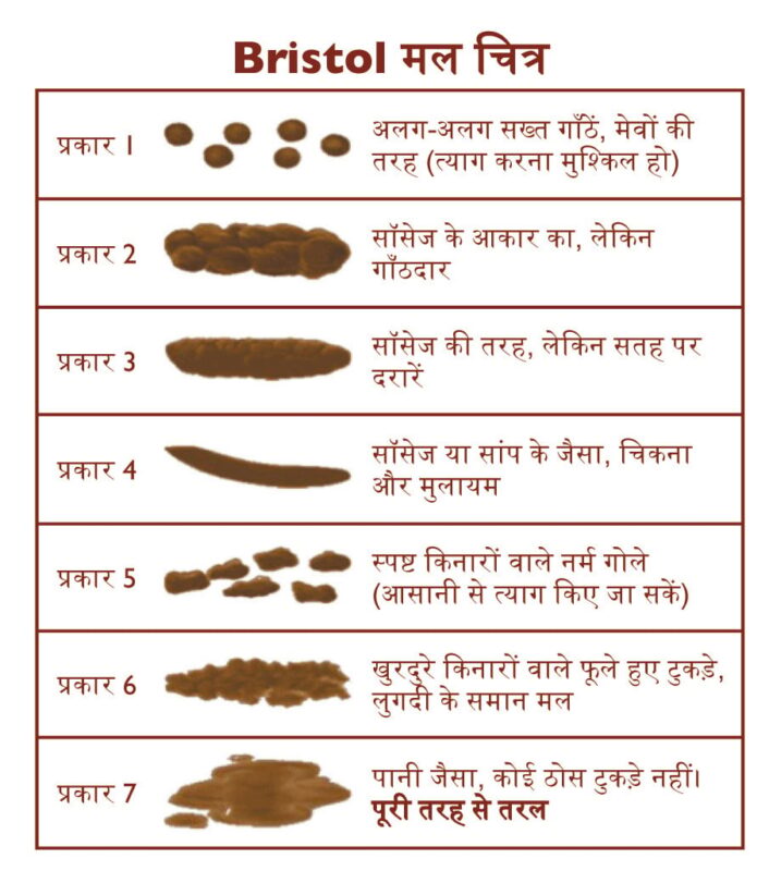 defecation meaning in hindi - Hình 4