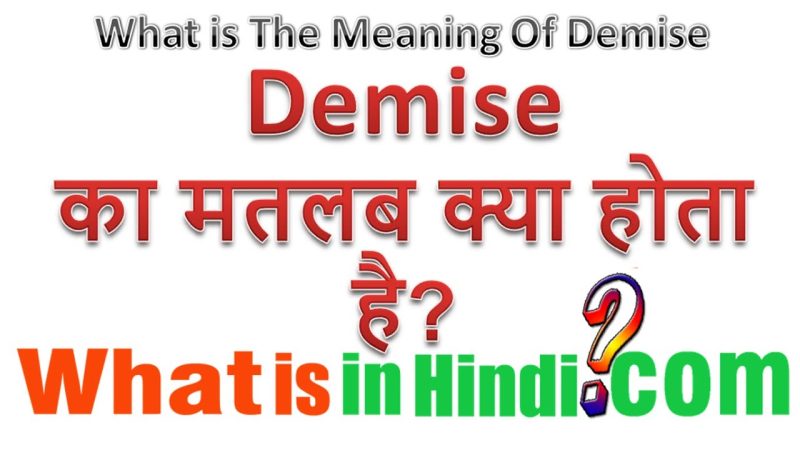 demise meaning in hindi 1