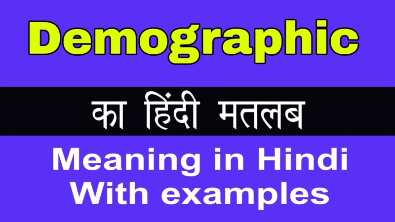 demographic meaning in hindi - Hình 3