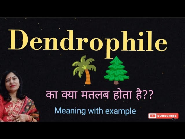 Dendrophile Meaning In Hindi: वृक्षप्रेमी, पर्यायवाची, लक्षण और तथ्य 8 डेंड्रोफाइल (Dendrophile) का हिंदी में अर्थ: एक व्यापक व्याख्या