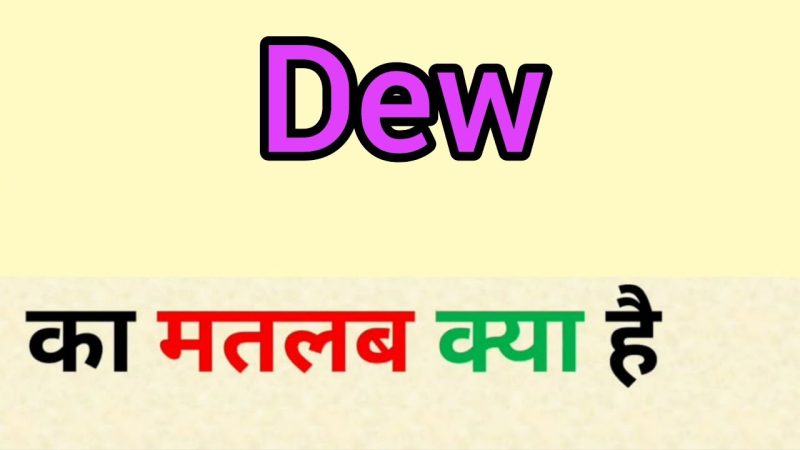 dew meaning in hindi - Hình 3