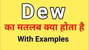 dew meaning in hindi
