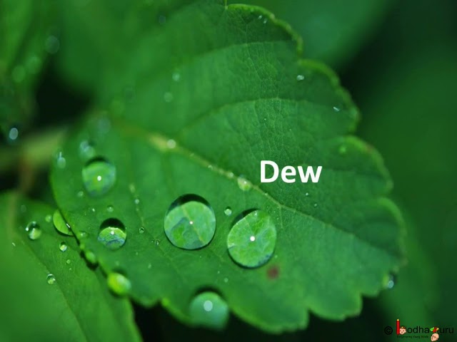 dew meaning in hindi - Hình 4