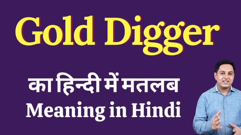 digger meaning in hindi - Hình 5