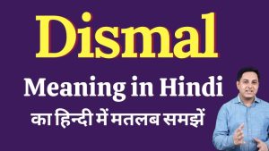 dismal meaning in hindi
