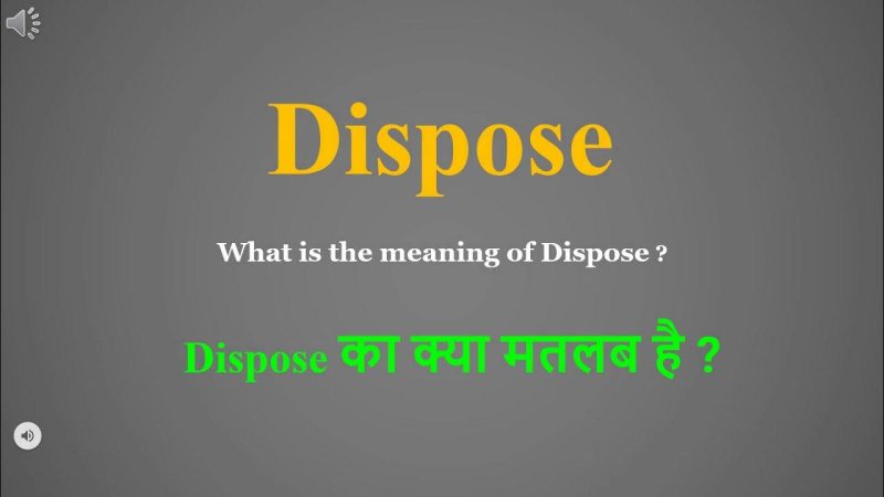 disposed का हिंदी में अर्थ क्या है?