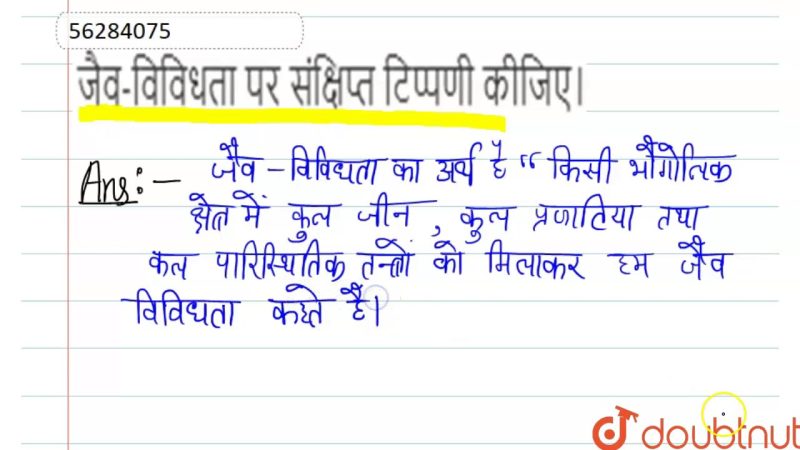 विविधता के प्रकार: हिंदी में उदाहरणों के साथ समझना