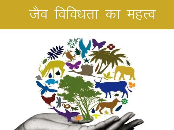 विविधता का महत्व: हिंदी में फायदे और नुकसान