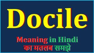docile meaning in hindi 2