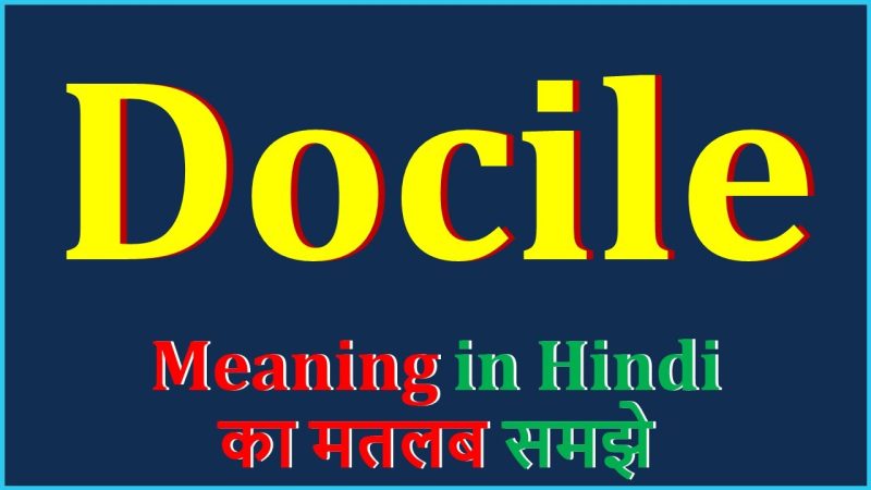 Docile के विभिन्न अर्थ और पर्यायवाची शब्द