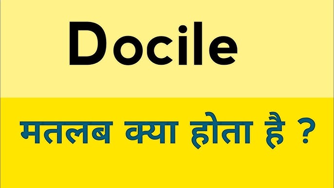 Docile और संबंधित शब्दों के बीच सूक्ष्म अंतर