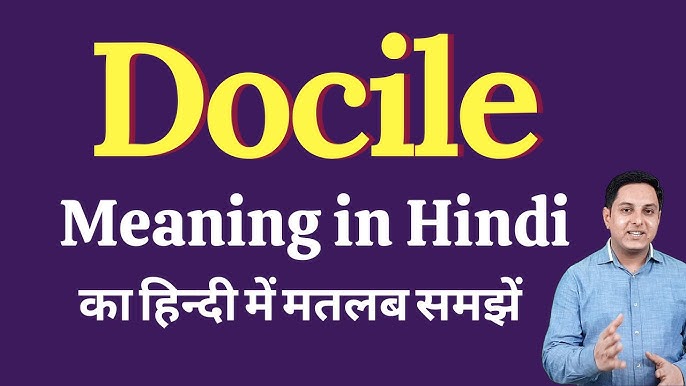 Docile शब्द को गहराई से समझना: मुख्य बिंदु