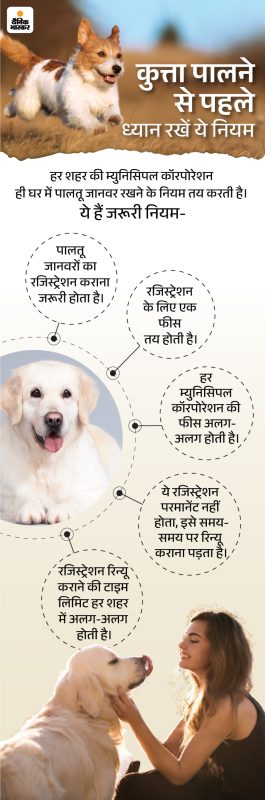भारत में कुत्तों की देखभाल और पालनपोषण: हिंदी में मार्गदर्शन