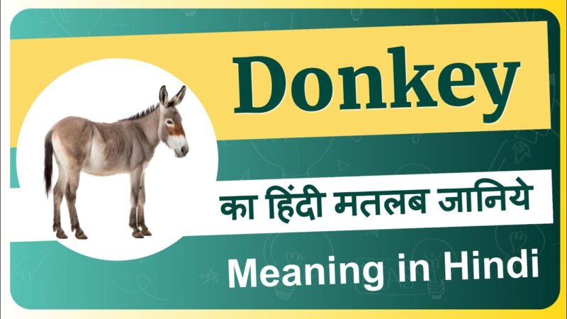 donkey meaning in hindi - Hình 2