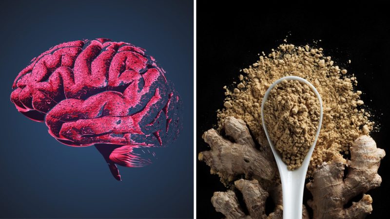 डोपामाइन का हिंदी में अर्थ और उच्चारण (Dopamine Ka Hindi Mein Arth Aur Uccharan)