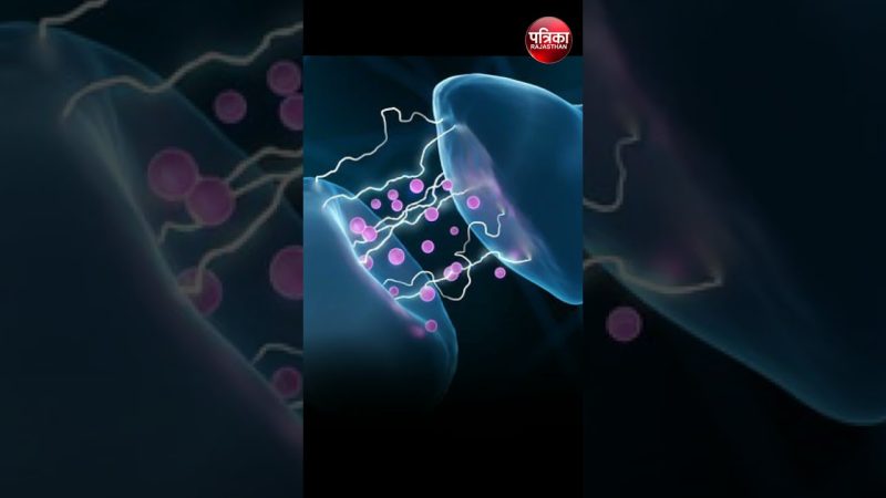 डोपामाइन और मानसिक स्वास्थ्य (Dopamine Aur Mansik Swasthya)