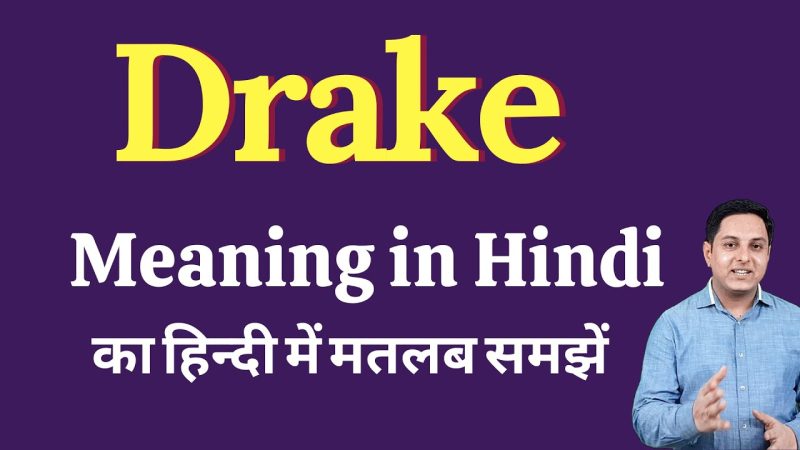 ड्रेक का अर्थ क्या है? एक व्यापक परिचय