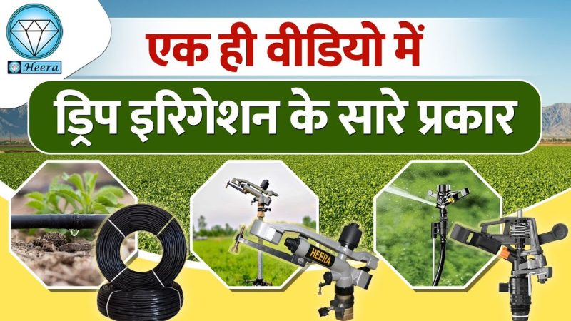'Drip' के विभिन्न संदर्भ और प्रकार