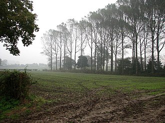 drizzle meaning in hindi - Hình 4