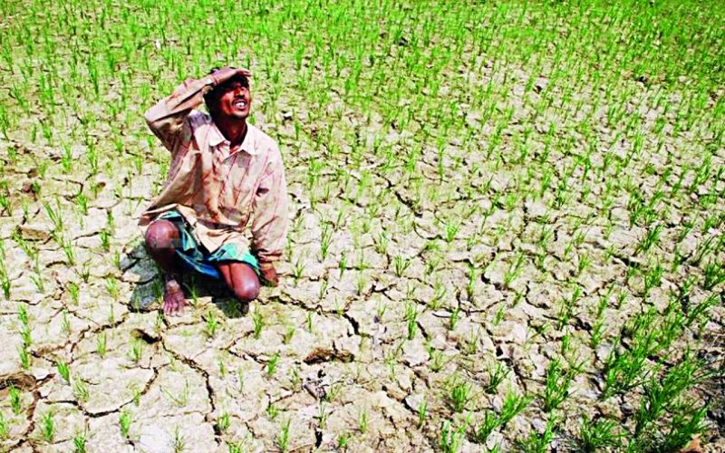 भारत में सूखे की स्थिति: वर्तमान परिदृश्य और भविष्य की चुनौतियाँ  भारत में सूखे की वर्तमान स्थिति क्या है, कौन से क्षेत्र सबसे अधिक प्रभावित हैं, और भविष्य में क्या चुनौतियाँ हैं, जलवायु परिवर्तन और जल प्रबंधन की नीतियों का क्या प्रभाव पड़ेगा। यहां आपको भारत में सूखे की वर्तमान और भविष्य की स्थिति का विश्लेषण मिलेगा।