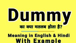 dummy meaning in hindi 5