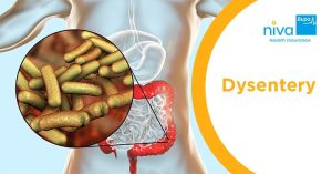 dysentery meaning in hindi 4