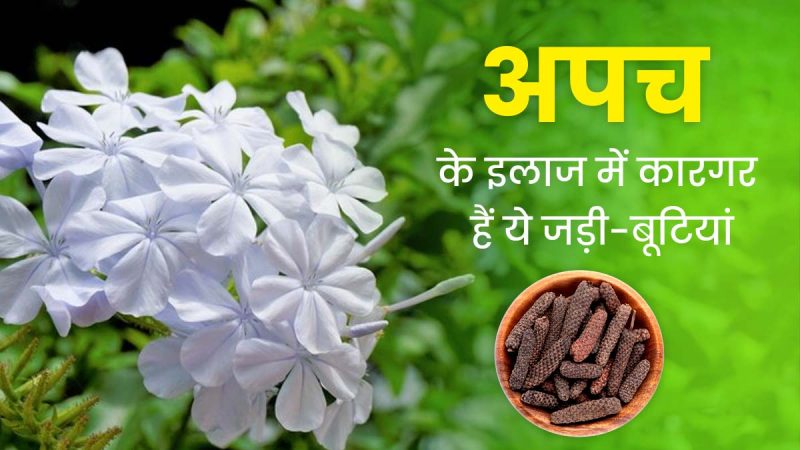 अपच का इलाज: हिंदी में घरेलू उपचार और दवाएं (Apach ka ilaaj: Hindi mein gharelu upchar aur davayan)